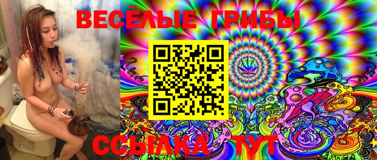 Бирск  Галлюциногенные грибы Psilocybe  Вход с VPN 
